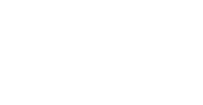 Dyzee Diaries Logo